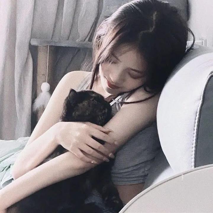 百合熊风暴